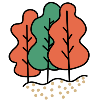 basoak