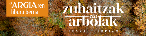 publizitatea