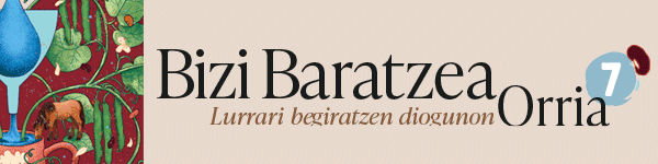 publizitatea