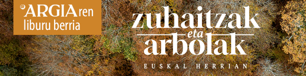 publizitatea