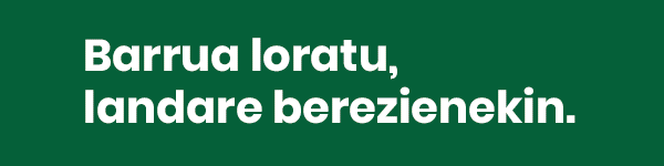 publizitatea