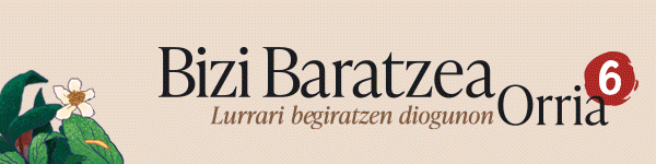 publizitatea