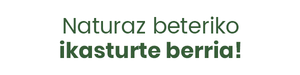publizitatea