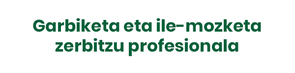 publizitatea