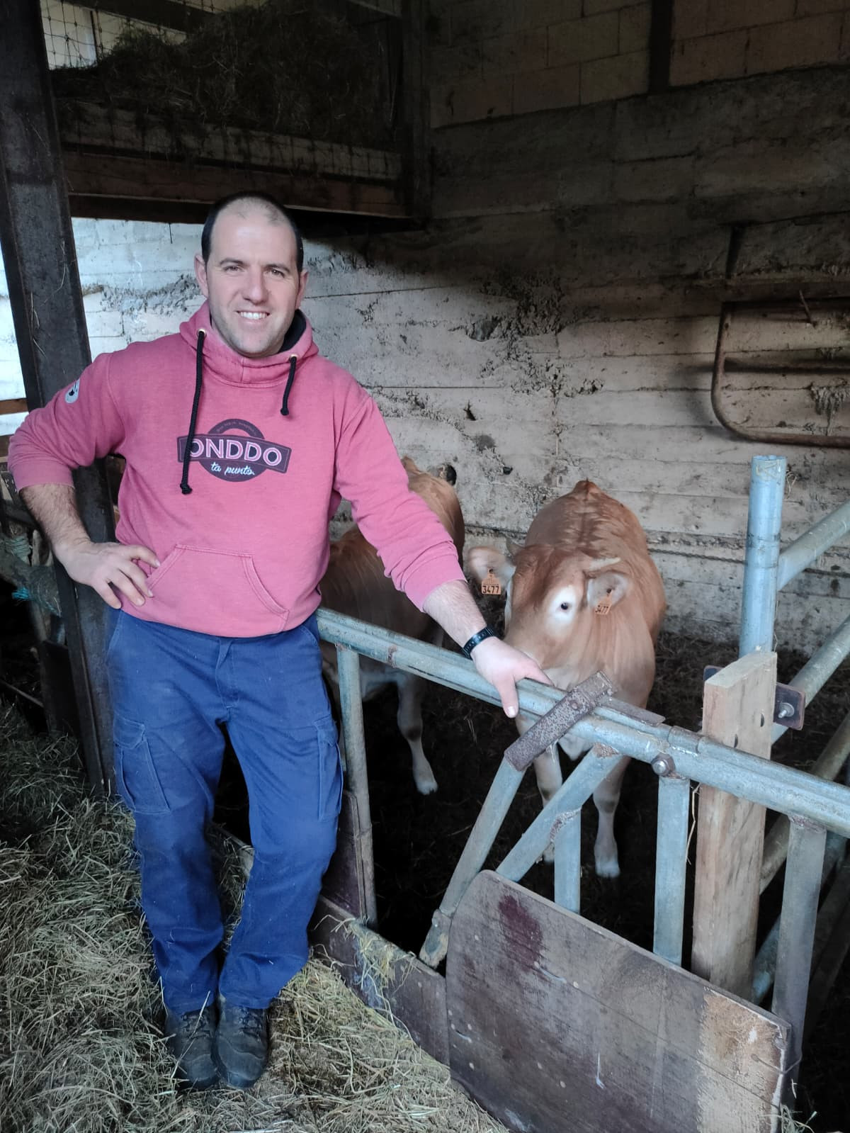 Nabarmendutako irudia